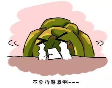 运城众泰肛肠医院：又双叒叕脱肛？脱出来的究竟是什么？