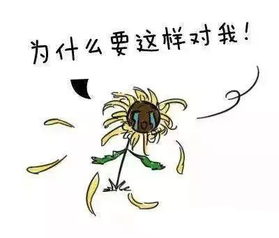 运城众泰肛肠医院：肛肠疾病错误认知，小心推你入深渊！