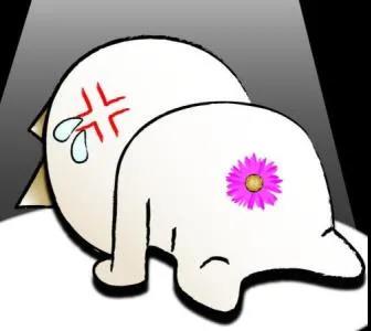 运城众泰肛肠医院：菊花有什么表现，证明自己脓肿了？